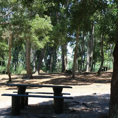 The Beach House Sao Pedro De Moel